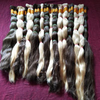We offer chemically processed blonde hair and weft as per customers need. Size available for 10inch to 34inch.