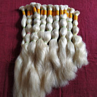 We offer chemically processed blonde hair and weft as per customers need. Size available for 10inch to 34inch.